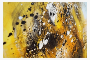 Hover Over An Image To Enlarge - Macro Photography