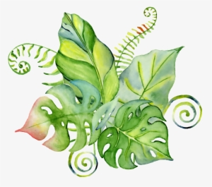 Hand-painted Leaves Of Four Slices Of Green Oil Png - Tropical Bouquet Aquarelle