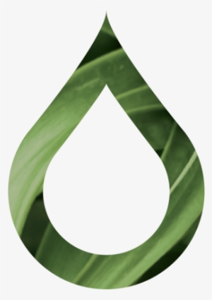 Easy Oil Solutions - Christmas Tree