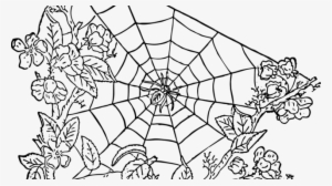Angiekat - Spider Web Clip Art