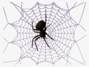 White Spider Web Png Download - Teia De Aranha Png