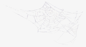 蜘蛛网免抠png透明图片素材【60张】 免抠蜘蛛