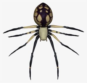 Spider Png Image - Transparent Spider Png