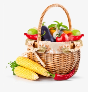 It's Never Been Easier To Find Delicious Dairy Free