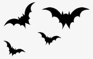 Royalty Free Bat Png Image Silhouettes Pinterest And - Bat Transparent