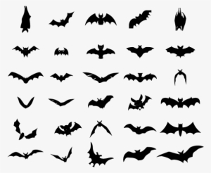 Bat Vector Free Download