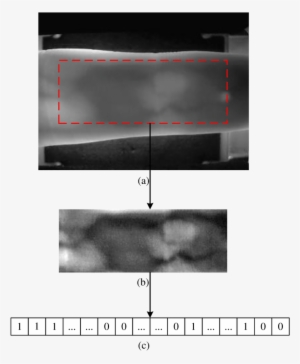 An Example Of A Finger Vein Image, Original Finger - Medical Radiography