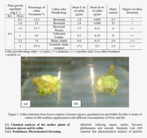 Callus Induction From The Leaf Explants Of Solanum - Explant Culture