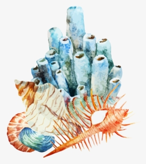 Coral Reef Watercolor Painting Illustration - Coral Reef Watercolor