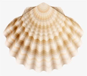 Realistic Shell Png Clip Art - Pectinidae
