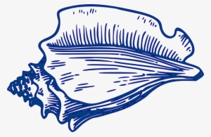 Conch Shell Svg Clip Arts 600 X 391 Px