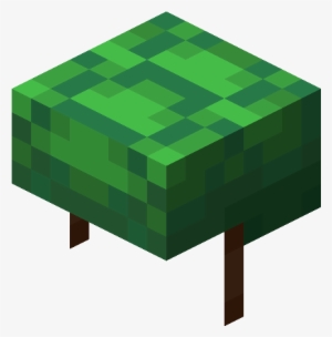 Potion Of Turtle Master