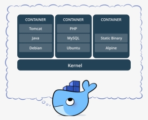 What Is A Container - Docker Container Exec Run