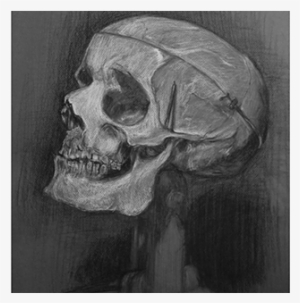 Charcoal Studies On Behance Banner Download - Charcoal