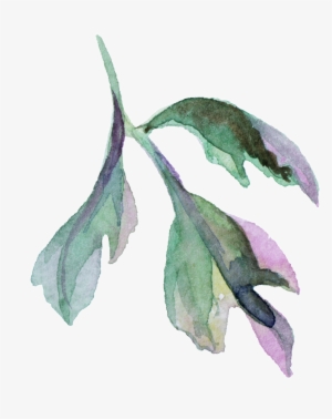 Watercolor Flower Leaf Cartoon Png Transparente