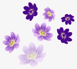 Vector Flower Png - Flower Png For Photoshop
