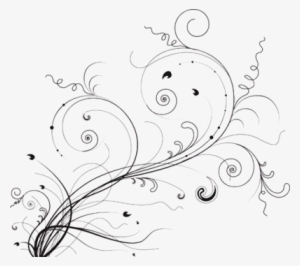 White Flower Vector Png Pics Photos - Floral Flower Wall Mural 4