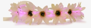 Rainbow Flower Crown Png - Flower Head Band Png