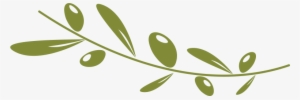 Olive Oil Png Images - Olive Png