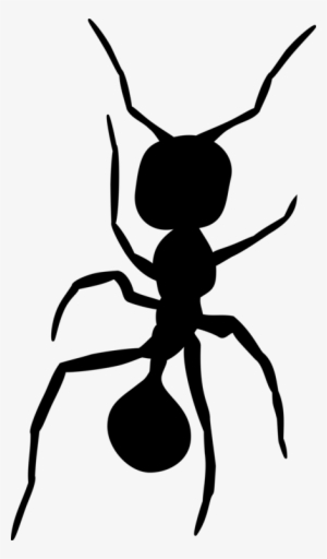 Parasitism Drawing Mosquito - Ants Clipart