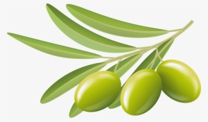 Green Olives Transparent Clip Art Image - Olives Clipart