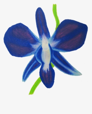 Eletragesi Blue Flower Drawing Images - Blue Orchids Drawing Png