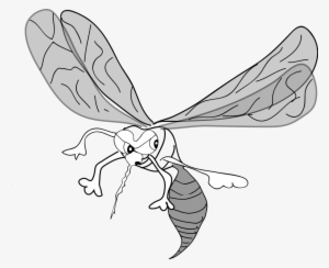 How To Set Use Freehand Mosquito Clipart