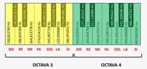 Octavas 3 Y 4 De Un Teclado Con Las Frecuencias Escritas - Frecuencia De Las Notas Musicales