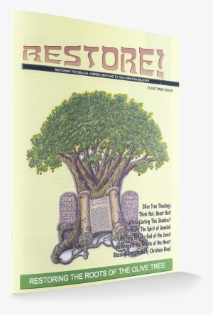 The Olive Tree Is A Symbol Of God's Family Tree Of - Oak