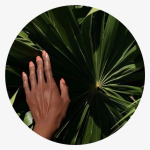 Saintlo-feature - Circle