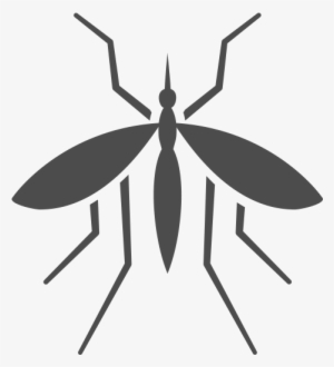 Get Mosquito Control Nashville, Tn - Mosquito Png White