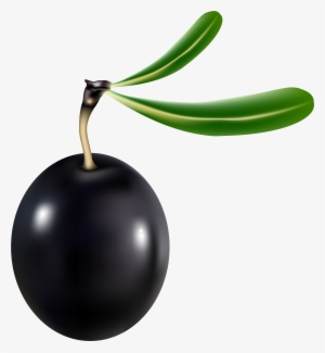 Black Olive Png