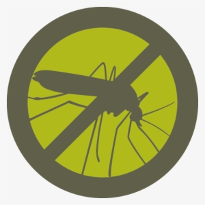 What You Don't Know Could Hurt You - No Mosquito In Iceland