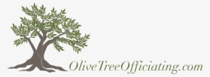 Olive Tree Logo Transparent