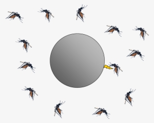 It - Fly Mosquito Png