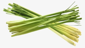 Non Toxic - Olivenation Lemon Grass Powder 4 Oz