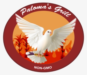 Coming Soon - Church Of Scotland Guild