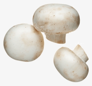 White Mushrooms