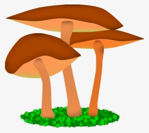 Illustration Friday - “mushroom”