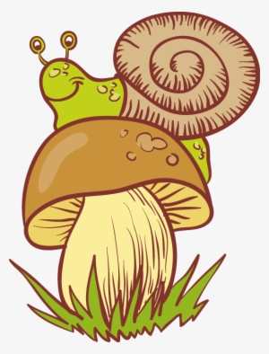 Snails And Mushrooms - Snail