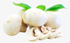 Download Fresh Mushrooms Png Image - Mushrooms Food Png
