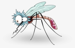 Mosquito Animado Png