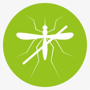 Mosquito Control - Mosquito