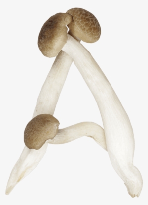 Mushrooms Font - Mushroom Letters