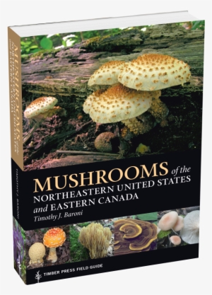 Mushrooms Of The Northeastern United States And Eastern - Mushrooms Of The Northeast: Timber Press Field Guide