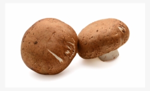 Whole Baby Bella Mushrooms - Macaroon