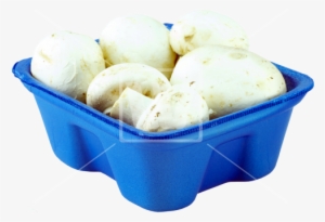 Fresh Mushrooms Png - Animal Cracker