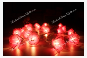 Light