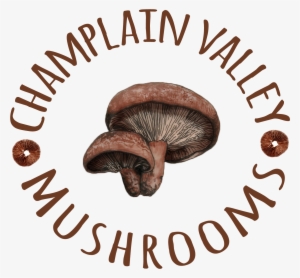 Mushrooms Png