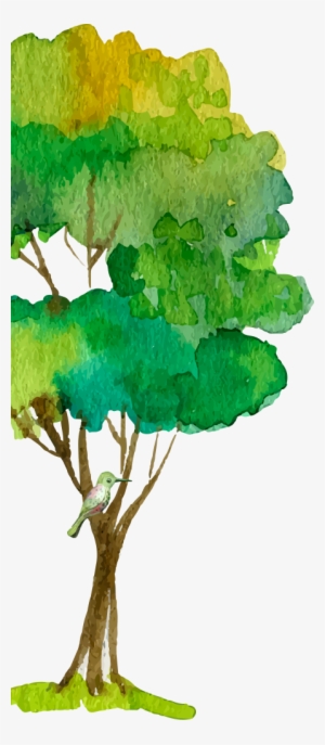 Next Governance - Oak